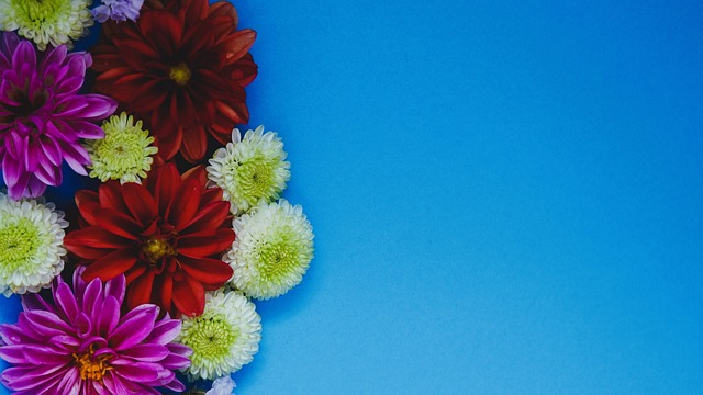 本赛季至今 本赛季至今