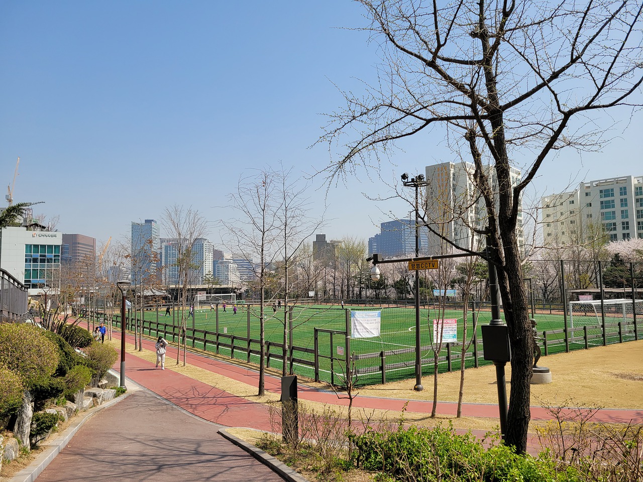 荷兰队的整 荷兰队的整